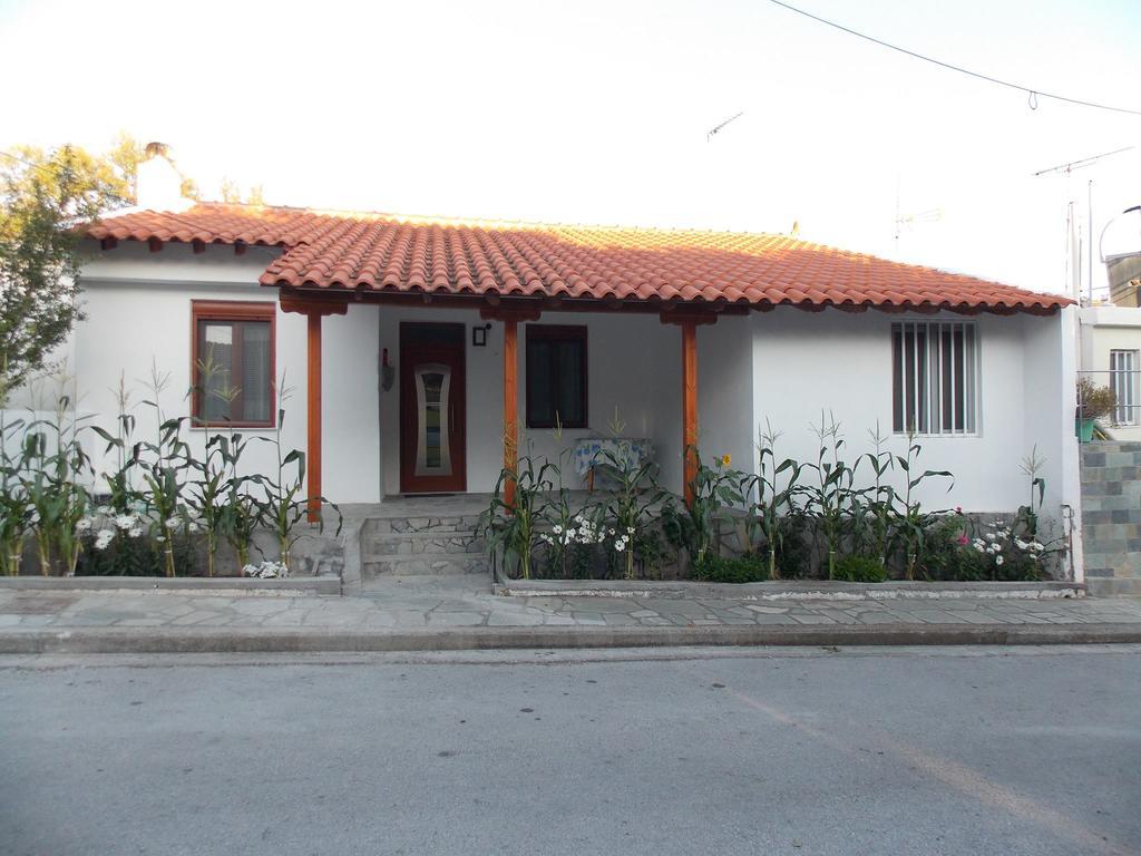 Galina Holiday Home Agios Evstratios Esterno foto